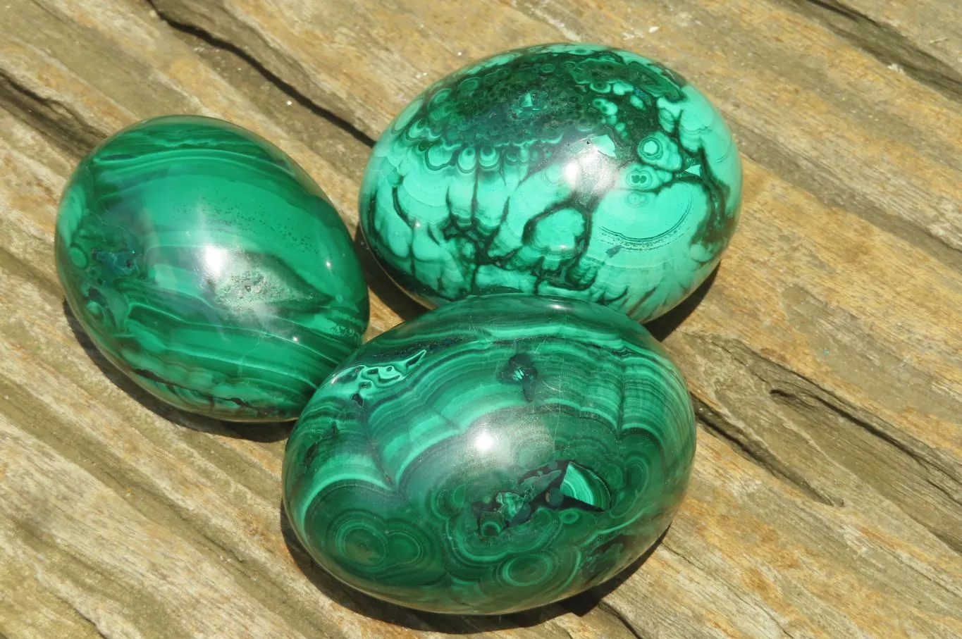 Polished Flower Banded Malachite Gemstone Eggs x 5 From Congo