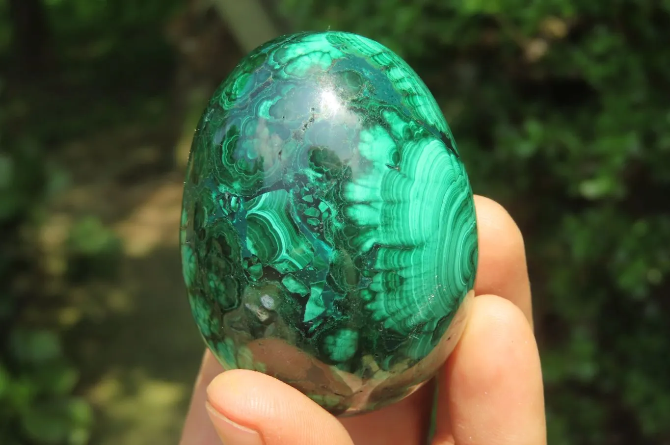 Polished Flower Banded Malachite Gemstone Eggs x 5 From Congo