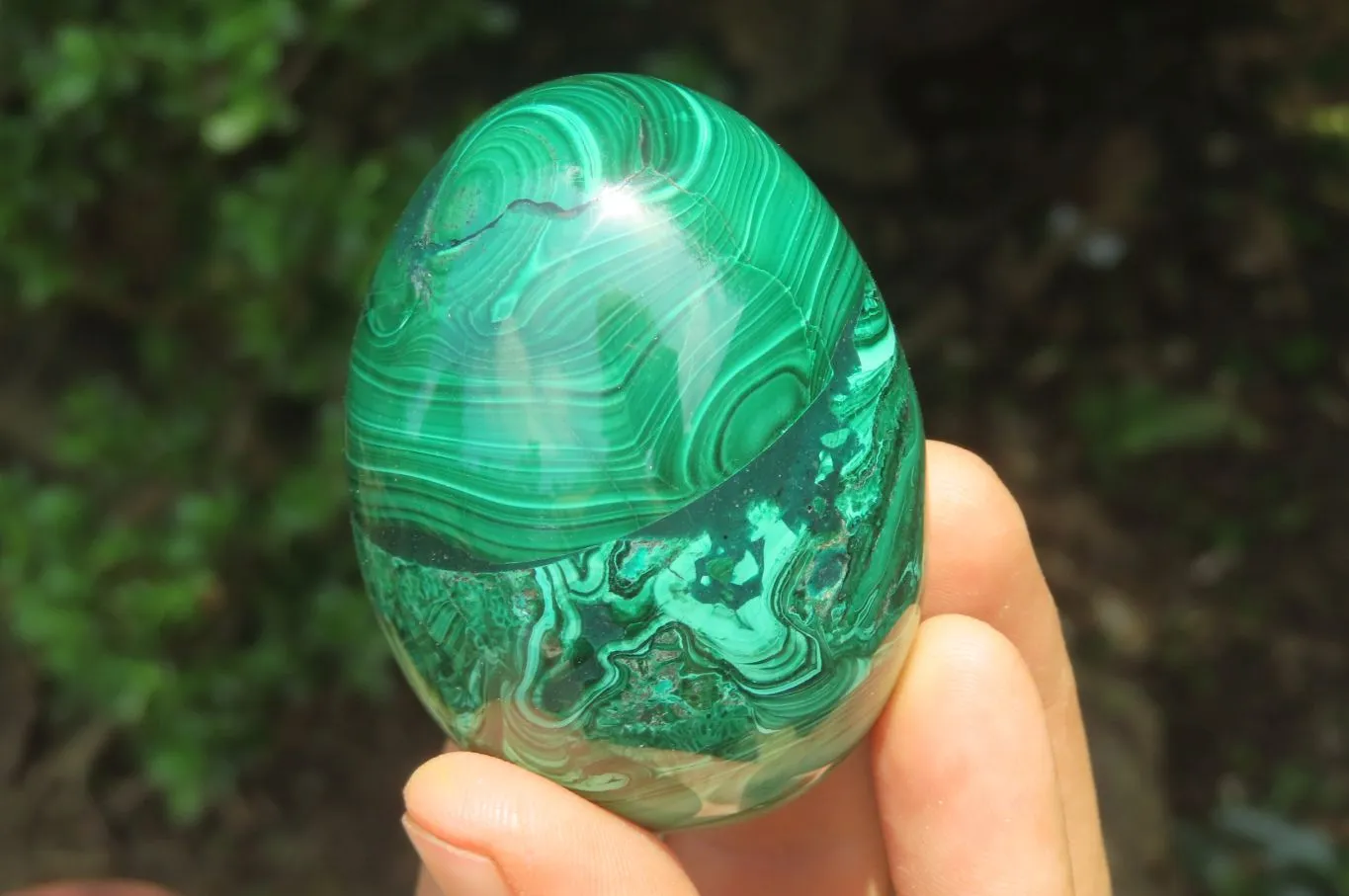 Polished Flower Banded Malachite Gemstone Eggs x 5 From Congo